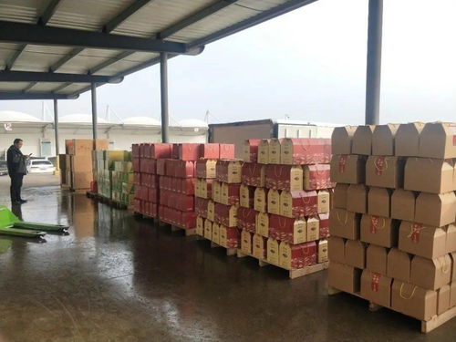 从田间到餐桌 三港公司年货配送实现“一条龙”服务，供需两旺引领年货新风尚